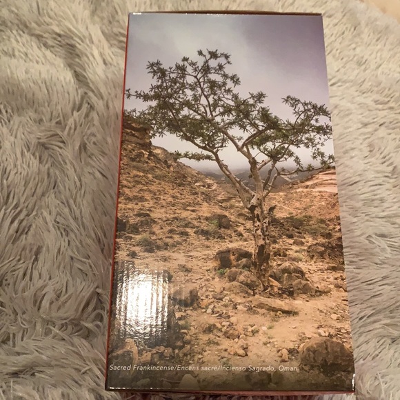 Young Living Desert Mist essential oil diffuser - Picture 8 of 8